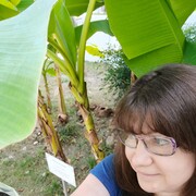 ���������� ����, ���� ������� ������, 59 ���, ������������ ��� ������, ����� � ���������, c�������� ���������