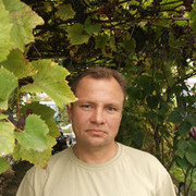  ,   , 50 ,   