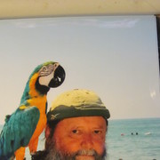  ,   , 65 ,   