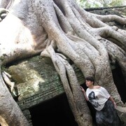 ���������� ������-��-����, ���� ������� ����, 45 ���, ������������ ��� ������, ����� � ���������