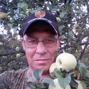  ,    , 55 ,   ,   , c 