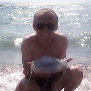 ���������� ����, ���� ������� ������ �����, 46 ���, ������������ ��� ����� � ���������, c�������� ���������