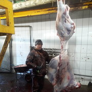 ���������� �����, ���� ������� ����, 36 ���, ������������ ��� ������, ����� � ���������, c�������� ���������