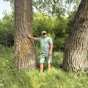 ���������� �������, ���� ������� �������, 51 ���, ������������ 