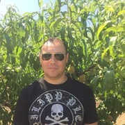 ���������� ������, ���� ������� ������, 43 ����, ������������ ��� ������, ����� � ���������, c�������� ���������