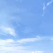 ���������� ������, ���� ������� ���������, 39 ���, ������������ ��� ����� � ���������, c�������� ���������