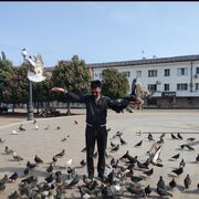 ���������� ������������, ���� ������� �����, 39 ���, ������������ ��� ������, ����� � ���������