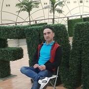   ,  , 31