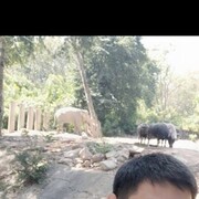  ,   , 37 ,   ,   , c , 