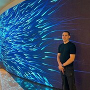 ���������� ������, ���� ����� ������, 24 ����, ������������ ��� ������, ����� � ���������