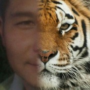  ,   , 48 ,  