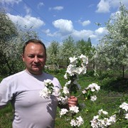  ,   , 50 ,     , c 