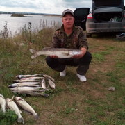 ���������� ������, ���� ������� ����, 45 ���, ������������ ��� ������