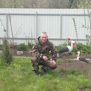 � ������ � ���������