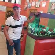  -,   , 54 ,   c 