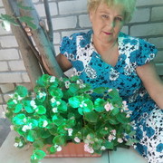 ���������� ����-�������, ���� ������� �������, 65 ���, ������������ 