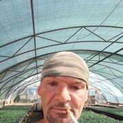  --,   , 46 ,   ,   