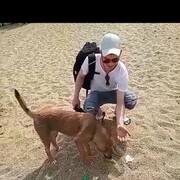 ���������� ������, ���� ������� �����, 35 ���, ������������ ��� ������, ����� � ���������