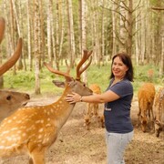 ���������� ������ ��������, ���� ������� �����, 51 ���, ������������ ��� ������, ����� � ���������, c�������� ���������