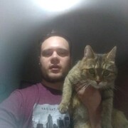   ,    , 29 ,   ,   , c 