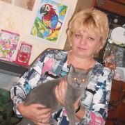  ,   , 59 ,     , c , 