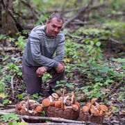 ���������� ������, ���� ������� ������, 46 ���, ������������ ��� ������, ����� � ���������, c�������� ���������, ���������