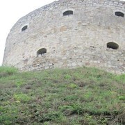  ,  zeniok, 37