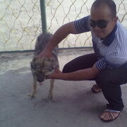 ���������� �������, ������� Dima, 34