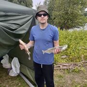 ���������� �����, ���� ������� �������, 38 ���, ������������ ��� ����� � ���������, c�������� ���������