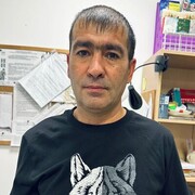  ,   , 46 ,  