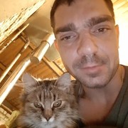  ,   , 37 ,   ,   , c 