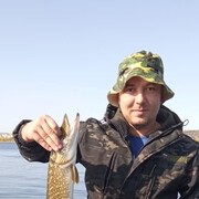 ���������� �������, ���� ������� ���������, 38 ���, ������������ ��� ������, ����� � ���������