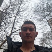 ���������� �����������, ���� ������� ����, 33 ����, ������������ ��� ������, ����� � ���������