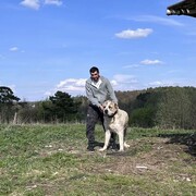  ,   Lektor, 35 ,   ,   
