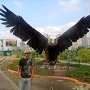  ,   , 40 ,     , c 