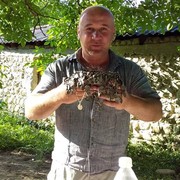  ,   Zaza, 50 ,   ,   , c 