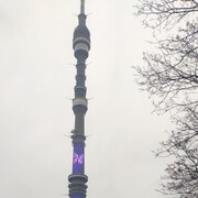 ���������� �������, ���� ������� ���������, 54 ����, ������������ ��� ����� � ���������, c�������� ���������