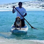 ���������� �������������-����������, ���� ������� ����, 37 ���, ������������ ��� ������, ����� � ���������, c�������� ���������, ���������