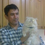 ������ ���