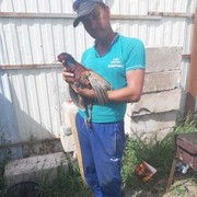  ,   , 44 ,   ,   , c 