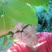 ���������� ������, ���� ������� ������, 68 ���, ������������ 