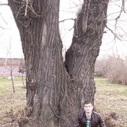  ,   , 33 ,     , c 
