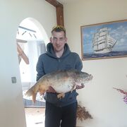  ,   , 41 ,   ,   
