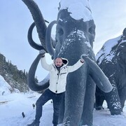 ���������� ������, ���� ������� ������, 38 ���, ������������ ��� ������, ����� � ���������, ���������