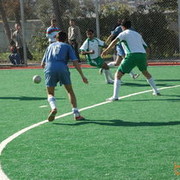 ���������� ����, ���� ������� Enver, 41 ���, ������������ ��� ������, ����� � ���������, c�������� ���������