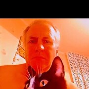 ���������� ����, ���� ������� ������, 40 ���, ������������ ��� ������, ����� � ���������