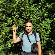  ,   , 59 ,     , c 
