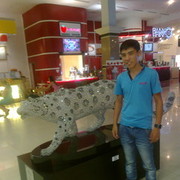  ,   , 29 ,   