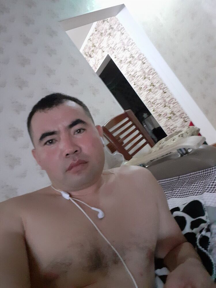  20661046  , 41 ,    