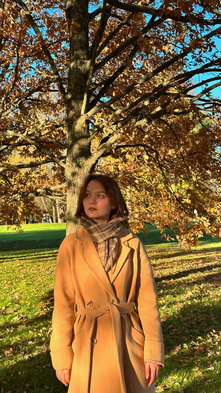  54523666  , 24 ,    -